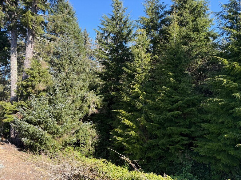 Building Photo - 1601 N 4th Ave