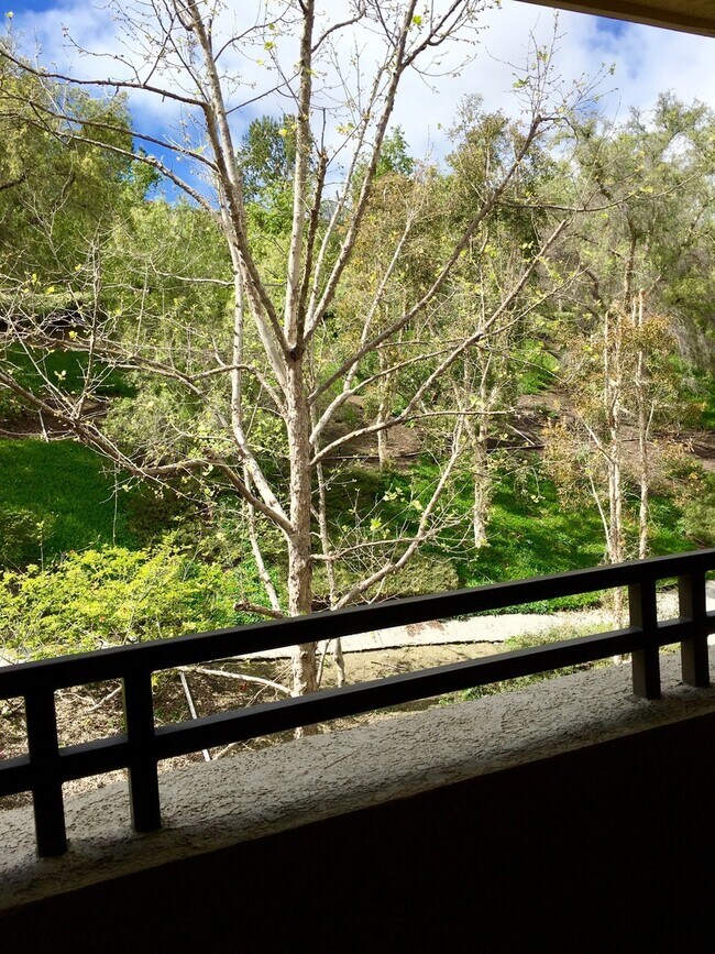 Building Photo - FURNISHED  1 bed/ 1 bath updated home in Aliso Viejo w/Fireplace