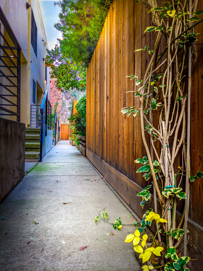 back walk way - 1701 15th St