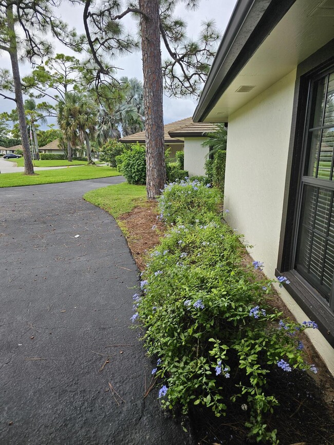 Building Photo - 435 Pine Villa Dr