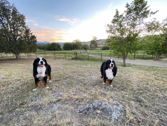 Building Photo - 783 MT-2