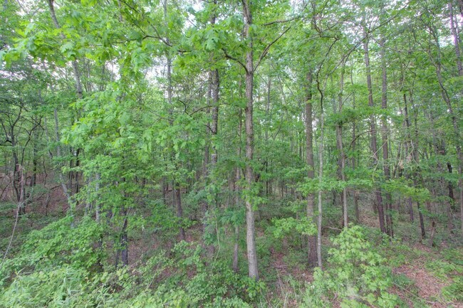 Building Photo - 720 Tennessee Acres Dr