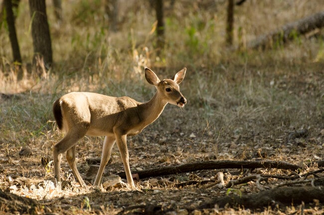 Building Photo - 5519 FM 2011