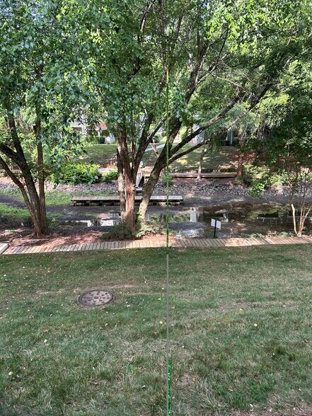 View from porch - 19901 Henderson Rd