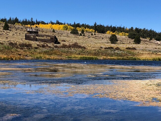 Building Photo - 609 Buffalo Ridge Rd