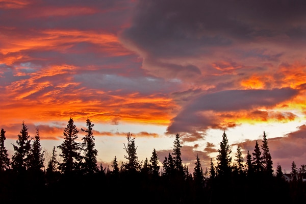 Building Photo - 16410 St James Cir