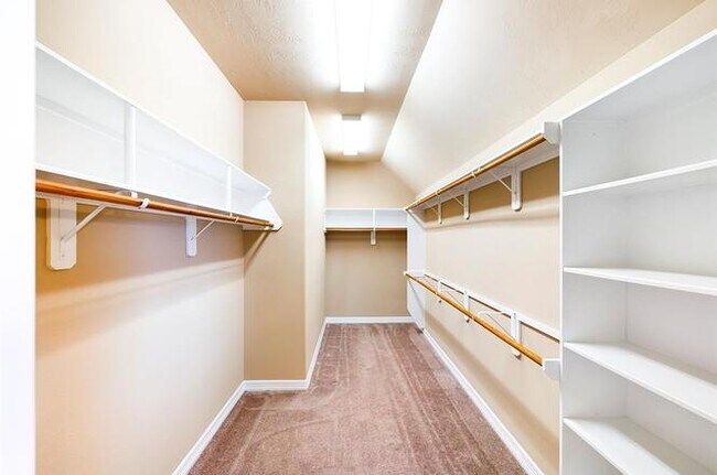 Building Photo - 3402 Hawkins Glen Ln