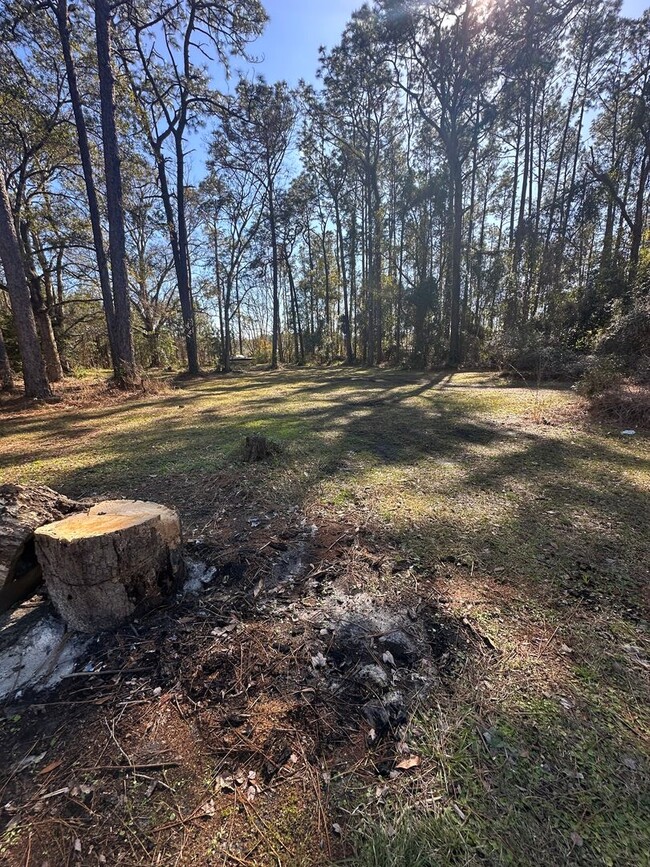 Building Photo - Country Brick Ranch in Callahan