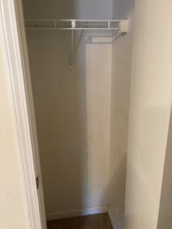 Building Photo - 2331 Wilkins Ct