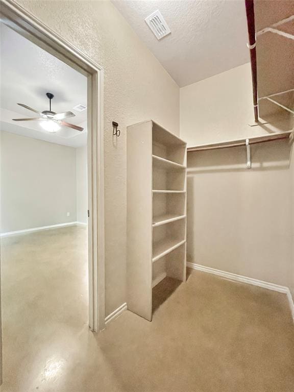 Building Photo - 256 Rosalie Dr