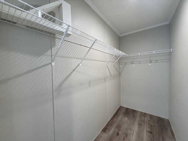 Building Photo - 29649 Cambridge Ct