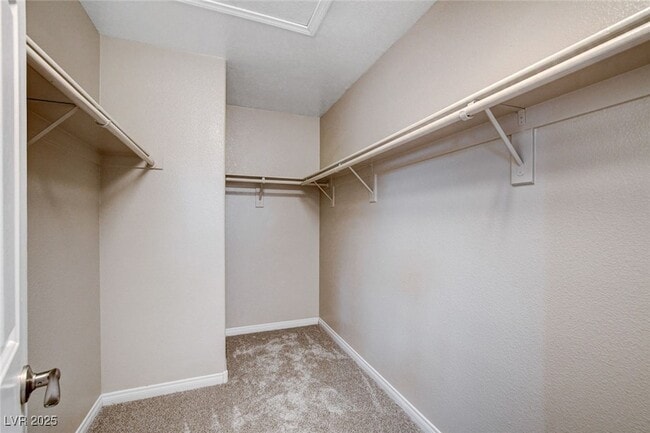 Building Photo - 4225 Terrapin Mountain Dr