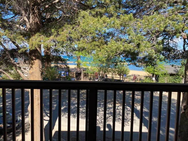 Building Photo - Seasonal Furnished rental