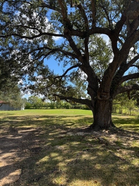 Building Photo - 22914 FM 362 Rd