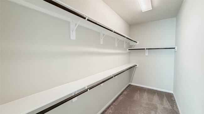 Building Photo - 29662 Yaupon Shore Dr