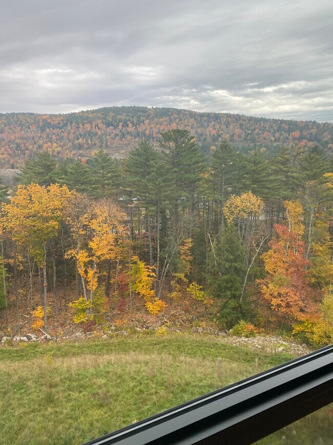 View from the living room - 69 Etna Rd