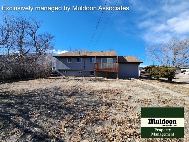 Building Photo - Fully remodeled 4 bedroom available now!