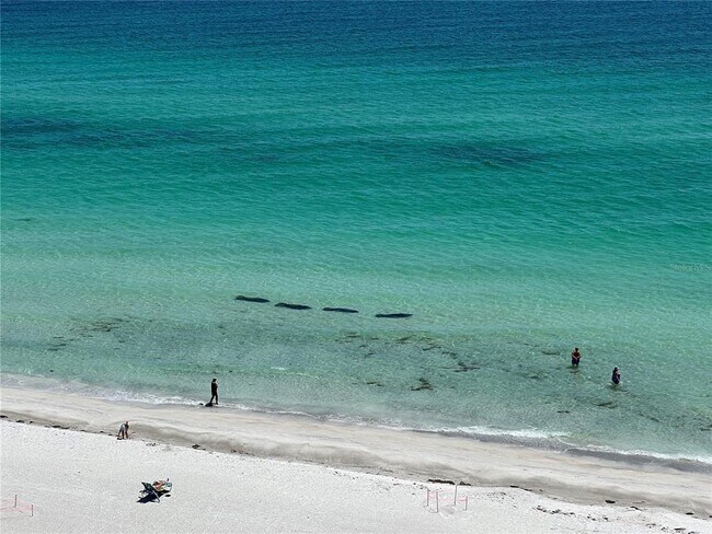 Building Photo - 2425 Gulf of Mexico Dr