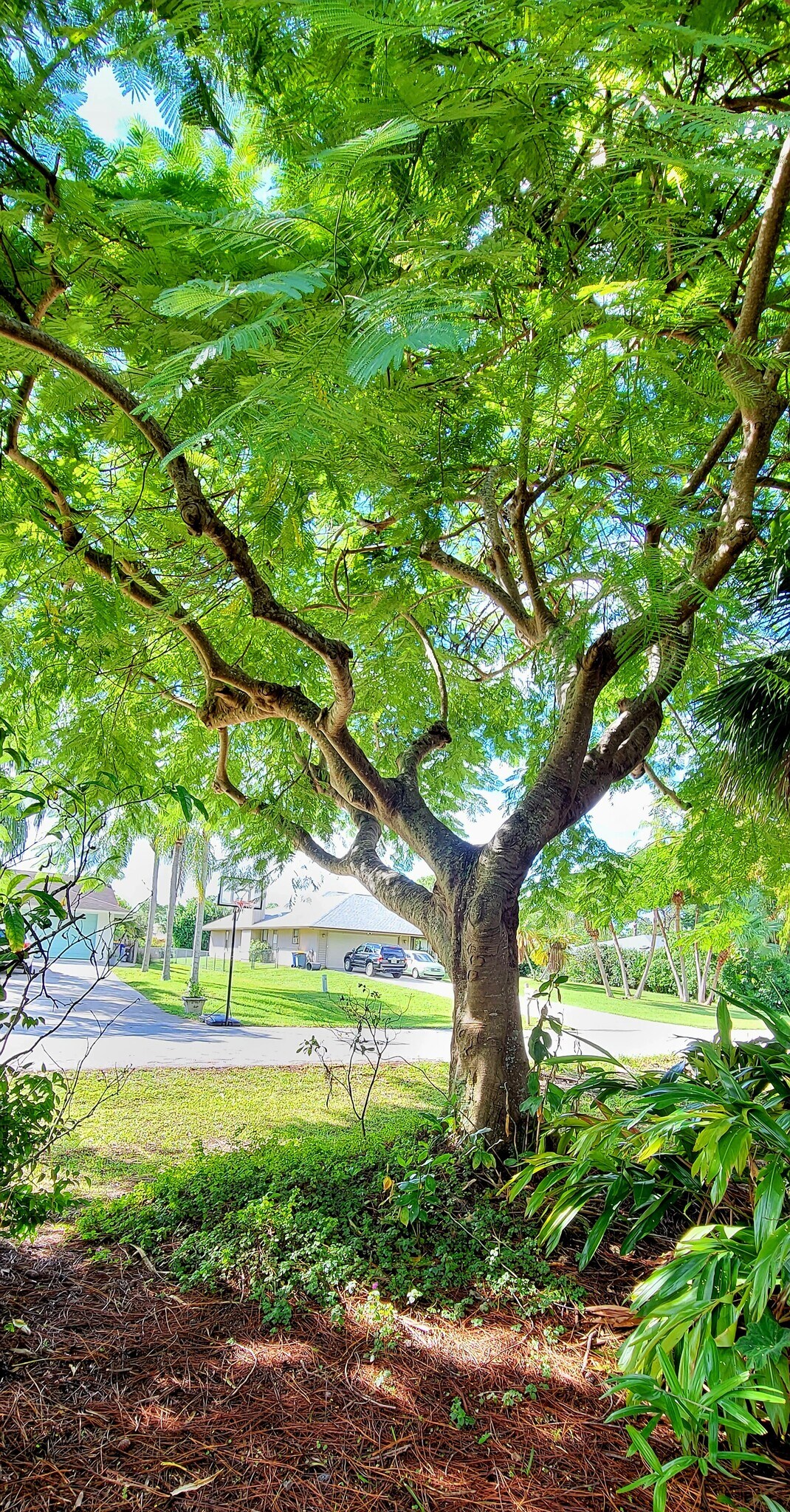 Building Photo - 6205 SE Circle St