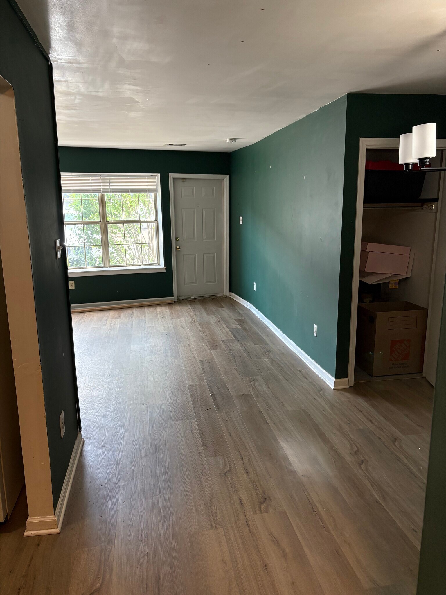 living/dining with closet - 203 Rock St