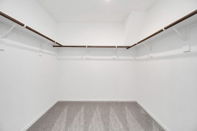 Building Photo - 1615 Windrose Bnd