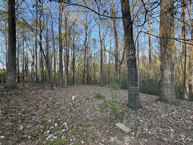 Private wooded backyard - 8017 Pine Oak Rd