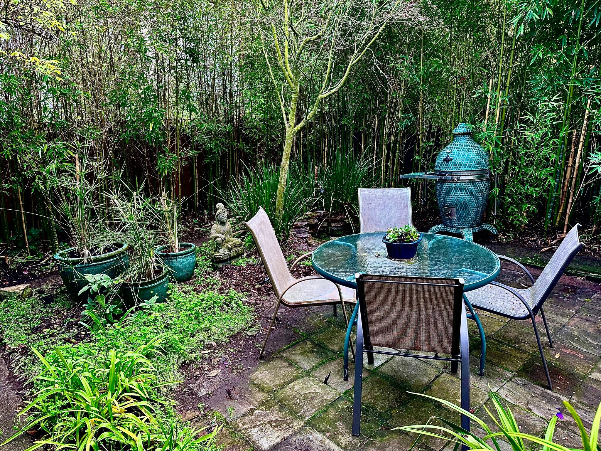 Backyard dining area - 645 San Jose Ave