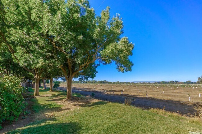 Building Photo - Stonegate Condo in fabulous West Davis location!