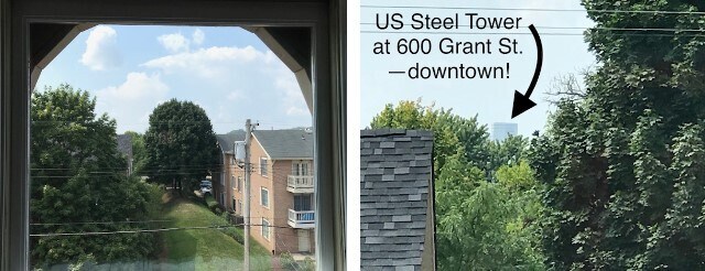 Here is your "downtown view"--if your eyesight is very good! - 3284 Dawson Street