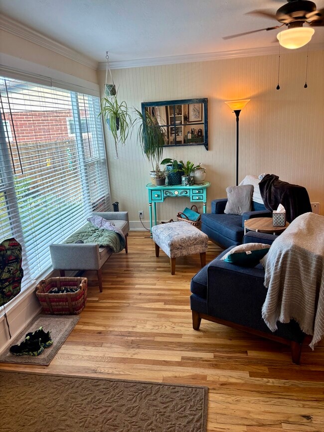 Building Photo - 1146 Taffeta Dr