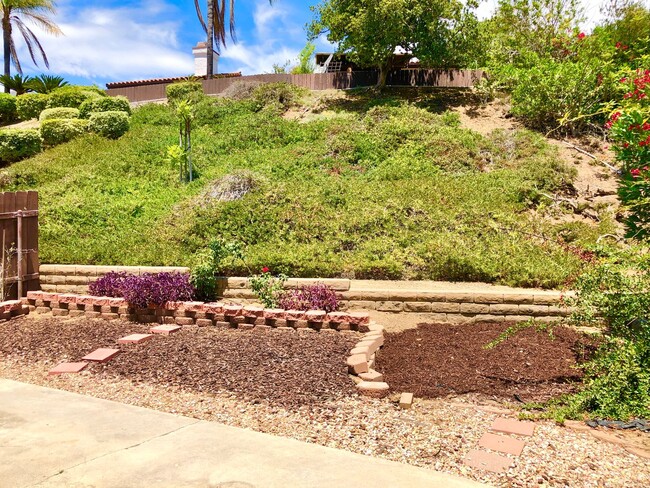Building Photo - Sweet Single-Story, Completely Detached, in the Picturesque Fallbrook Village HOA Community!