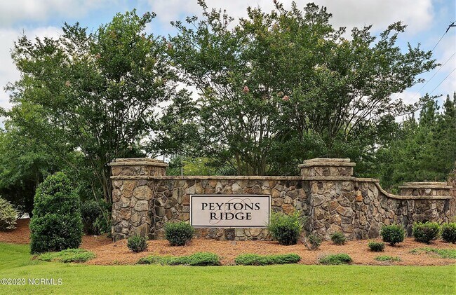 Building Photo - 119 Peytons Ridge Dr