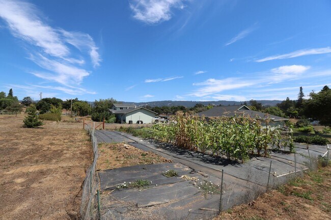 Building Photo - Watsonville: Tranquil Home & Ranch/Farm on...