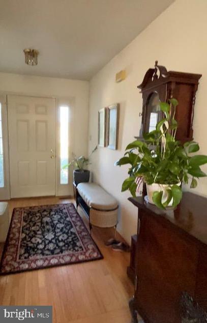 Building Photo - 908 Holly Ct