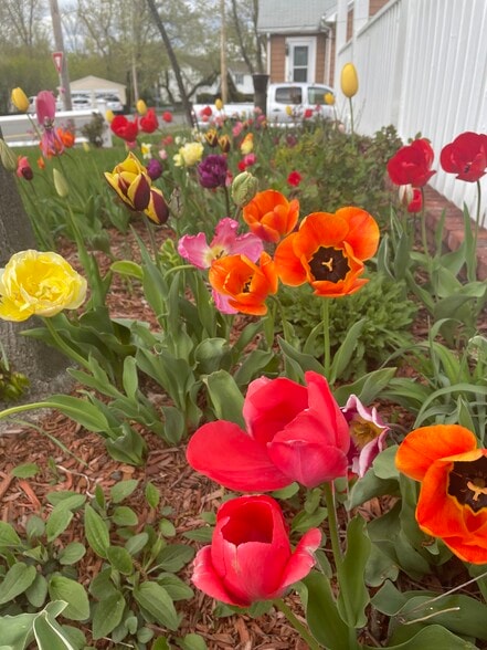 Building Photo - 229 Essex St