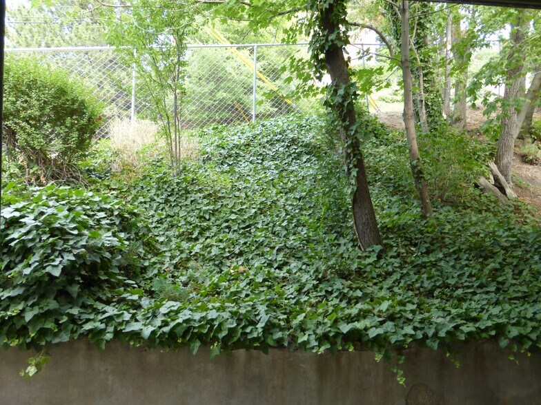 Building Photo - 475 Wall St