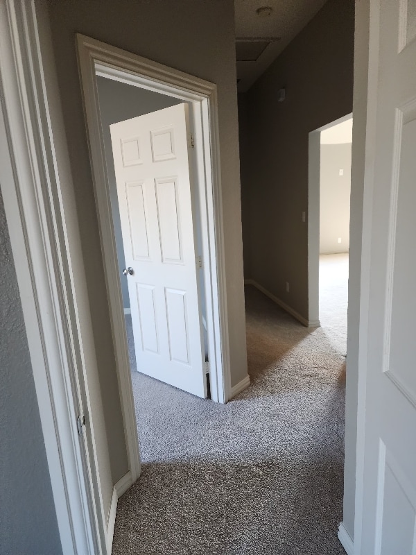 Building Photo - 1008 Raleigh Path