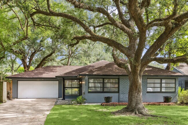 Primary Photo - 6136 Birdwood Rd