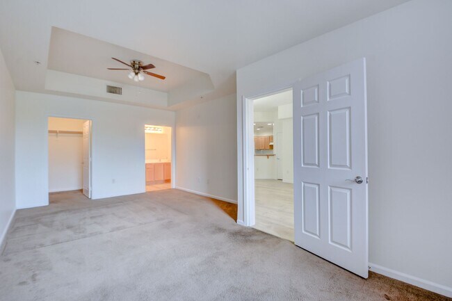 Building Photo - Park Avenue Mid Rise Condo. All HOA Amenities