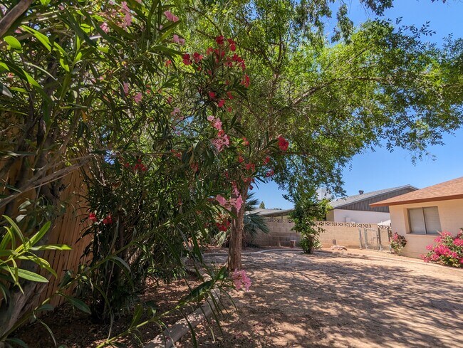 Building Photo - Cornell