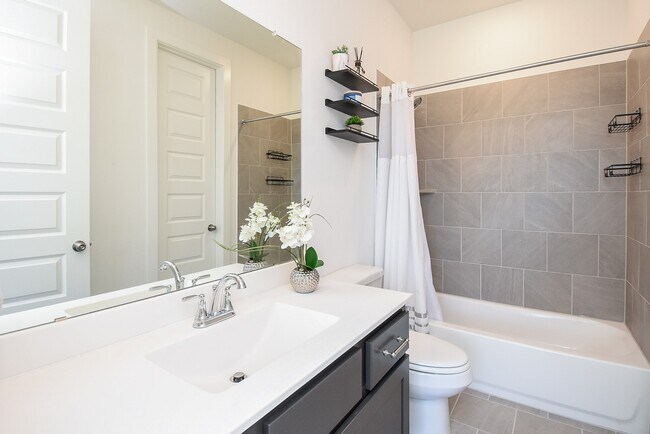 Building Photo - 823 Sarasota Shore Dr