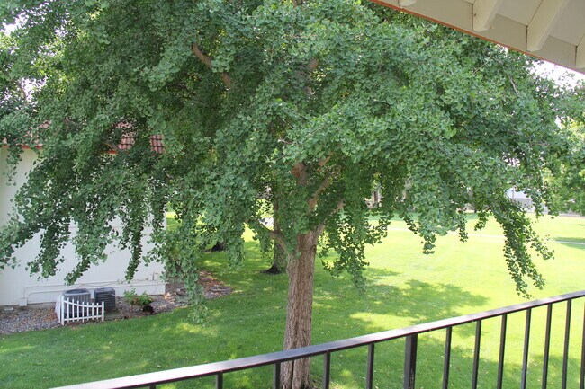 Yard View from Deck - 3101 W John Day Ave