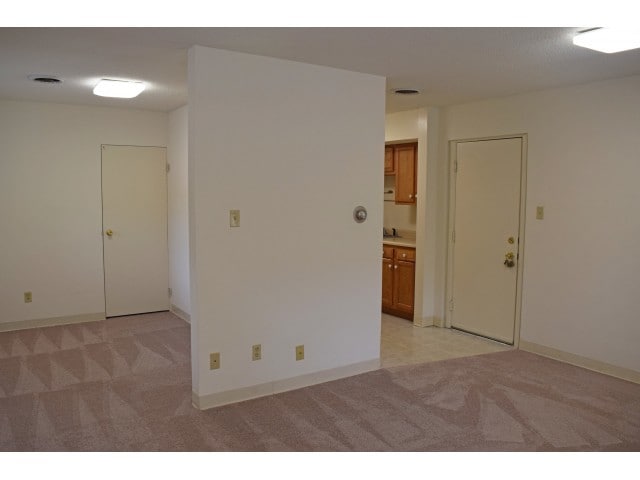 The Corningstone - 211 Springfield Apartments