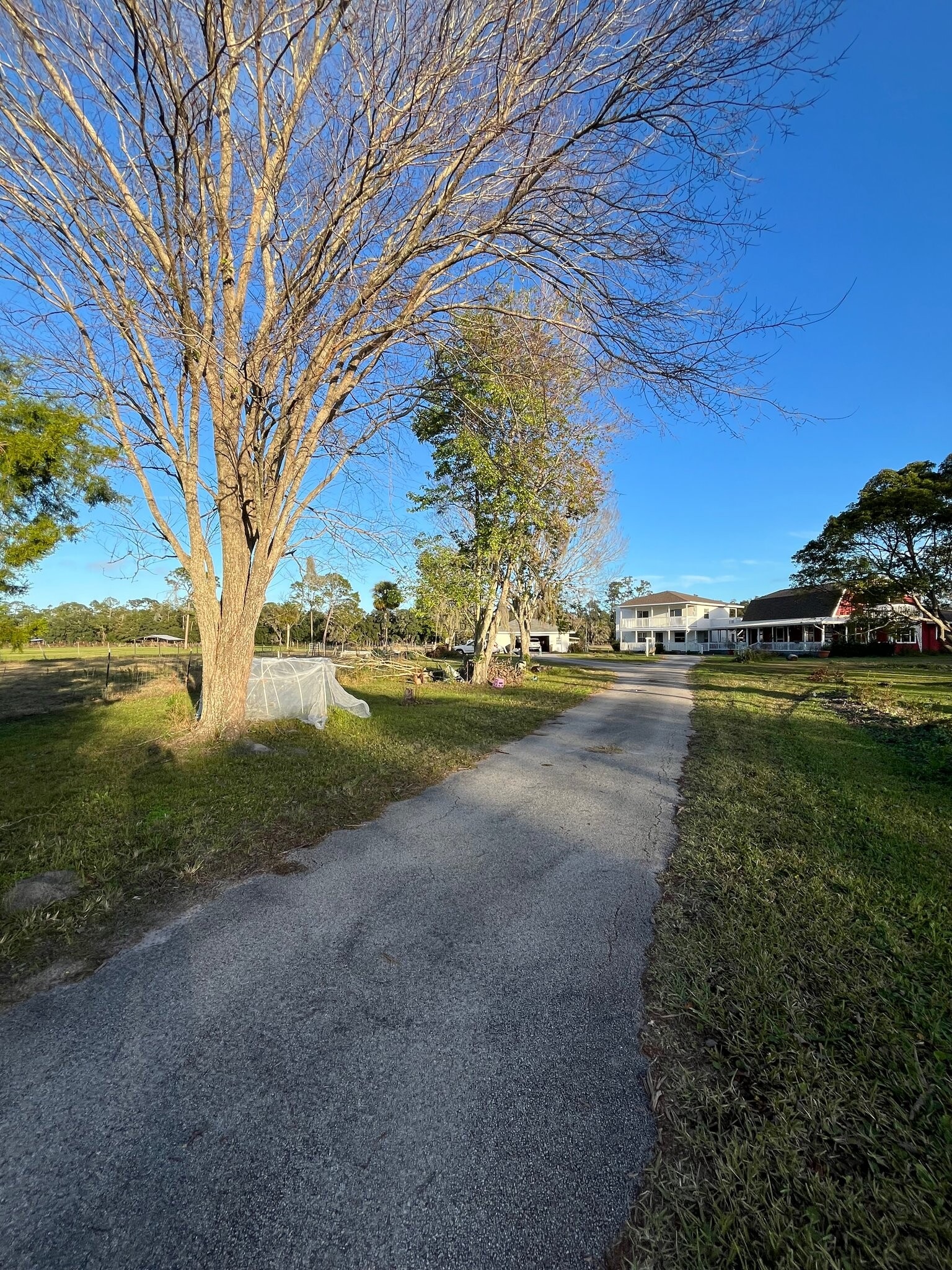 Building Photo - 501 Leeway Trail