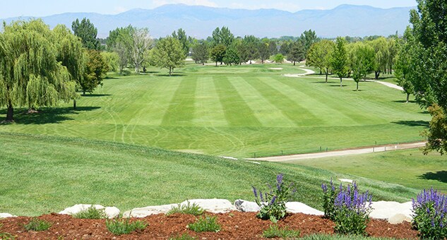 Building Photo - 11847 W Lewisburg Ct