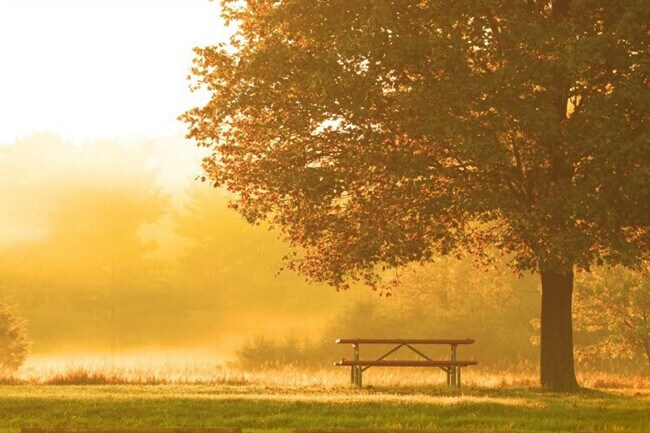 Building Photo - 5627 Illahee Road NE