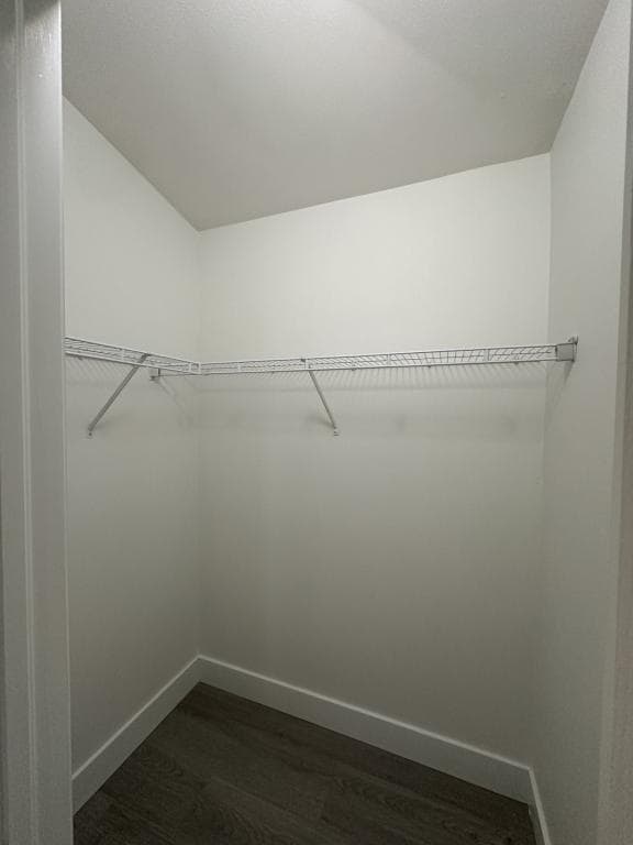 Building Photo - 15752 Fishhawk Falls Dr