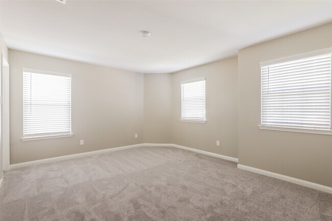 Building Photo - 23119 Bellini Dr