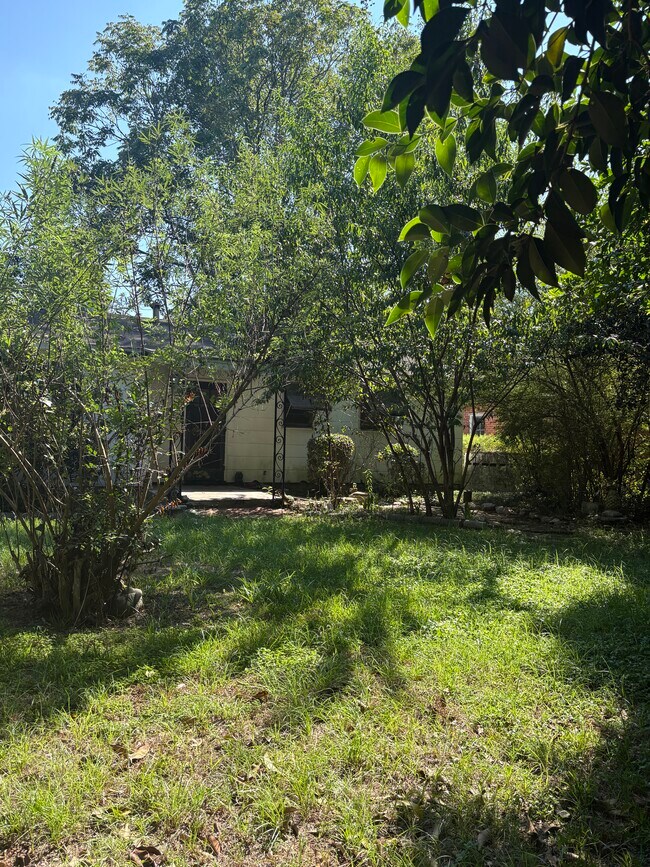 Building Photo - 227 E Vandiver Blvd
