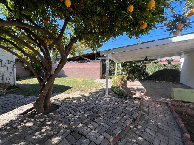 Building Photo - Clean and comfortable 3 bedroom available ...